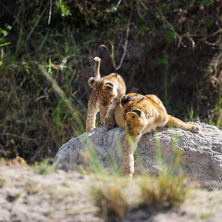 Willa Mara Elatia Camp Maasai Mara Zewnętrze zdjęcie