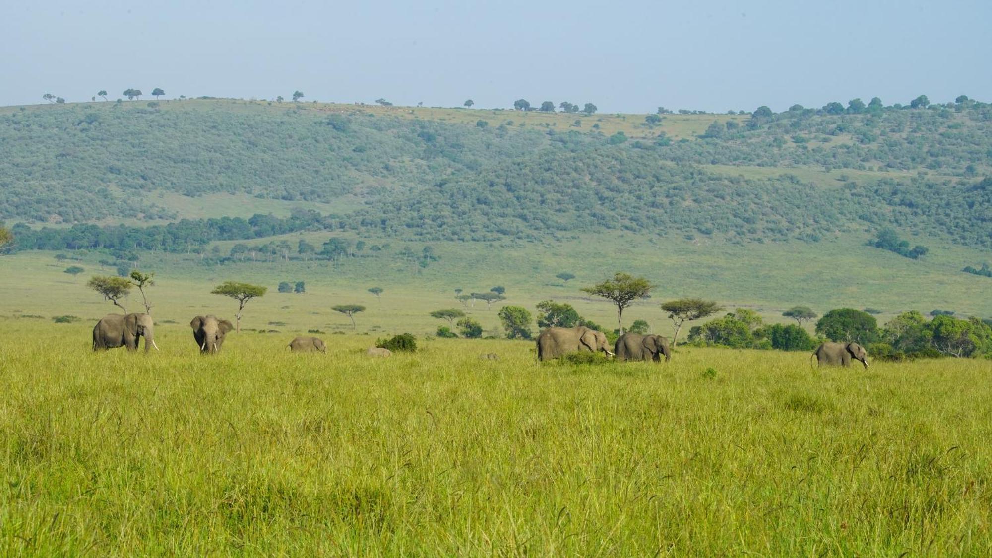 Willa Mara Elatia Camp Maasai Mara Zewnętrze zdjęcie