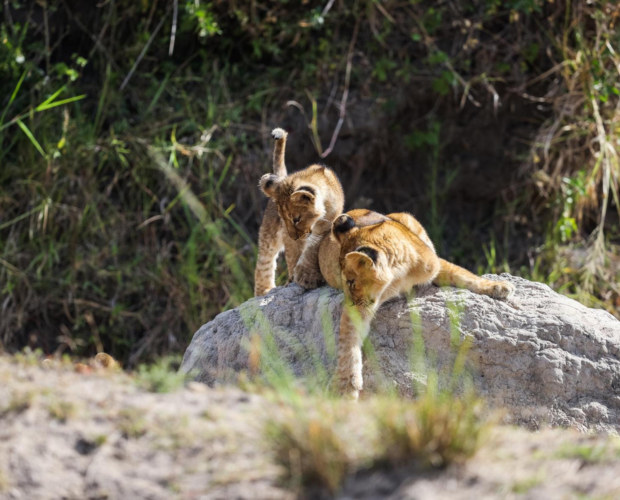 Willa Mara Elatia Camp Maasai Mara Zewnętrze zdjęcie